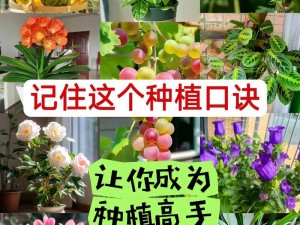 全面解析灵魂潮汐种菜秘诀：入门指南助你成为种植高手