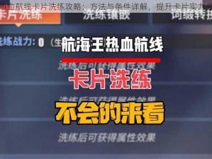 航海王热血航线卡片洗练攻略：方法与条件详解，提升卡片实力必备指南