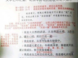 文字艺术之巅：花孤学者歌词解密攻略大解析