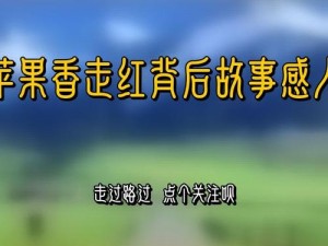 未测减除版 108p：苹果的神秘之作，背后故事引人遐想