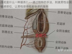 倒插莲花是什么一种服务？——通过独特的手法，刺激男性会阴、阴囊等敏感部位，让男性获得极致快感的服务