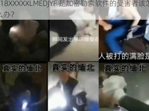 缅甸14MAY18XXXXXLMEDJYF-缅甸 14MAY18XXXXXLMEDJYF 是加密勒索软件的受害者该怎么办？