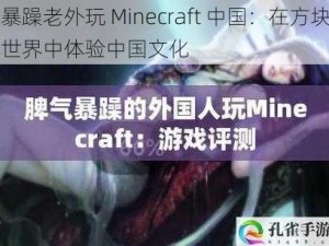 暴躁老外玩 Minecraft 中国：在方块世界中体验中国文化