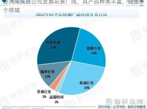 亚洲成成品公司发展前景广阔，其产品种类丰富，涵盖多个领域