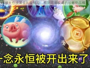 球球大作战黑金礼盒揭秘：预测可能获得的珍稀物品概览