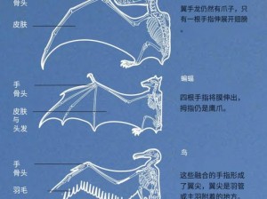 天天风之旅蝙蝠翅膀装备图鉴：深度解析蝙蝠翅膀装备属性与性能，值得拥有的旅行必备神器