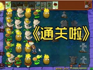 汉字魔法乌鸦吃肉策略宝典：玩转攻略助您顺利通关