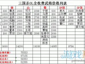 汉王纷争VIP价格全解析：如何选择最合算的购买方案