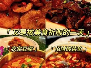 大话西游手游美食探秘：独家酸菜鱼配方分享盛宴