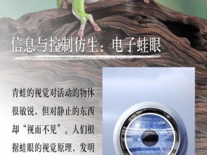 创新黑科技，保护你的私人空间——偷拍洗澡视频播放神器