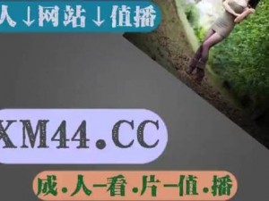 中文字幕乱码人妻一区二区三区四区：满足你所有需求的视频播放器