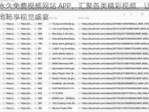 成人永久免费视频网站 APP，汇聚各类精彩视频，让你随时随地畅享视觉盛宴