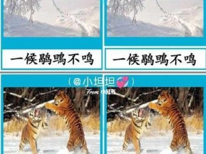 一本二卡三卡四卡乱码麻豆，全新升级，体验更流畅