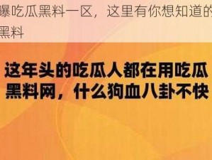 网曝吃瓜黑料一区，这里有你想知道的各种黑料