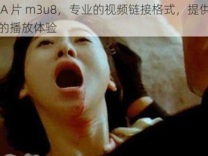 成人 A 片 m3u8，专业的视频链接格式，提供流畅高清的播放体验