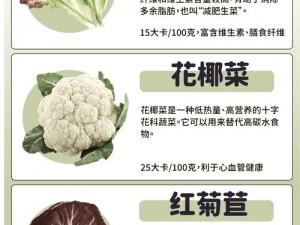 明日之后营养蔬菜沙拉的制作秘诀：健康食材的完美搭配指南