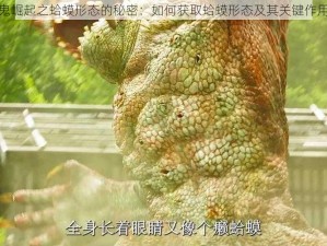 吸血鬼崛起之蛤蟆形态的秘密：如何获取蛤蟆形态及其关键作用详解