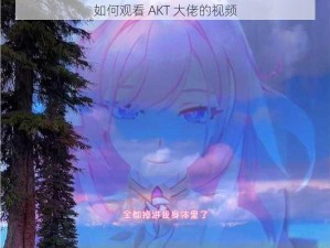 如何观看 AKT 大佬的视频