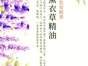 薰衣草研究所APP 薰衣草研究所 APP：探索薰衣草的奥秘