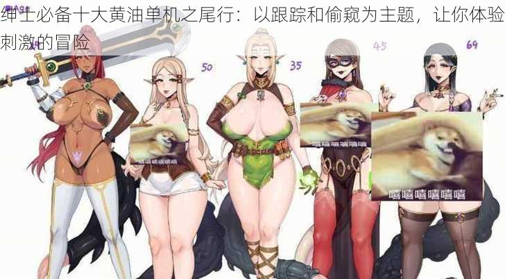绅士必备十大黄油单机之尾行:以跟踪和偷窥为主题,让你体验刺激的冒险