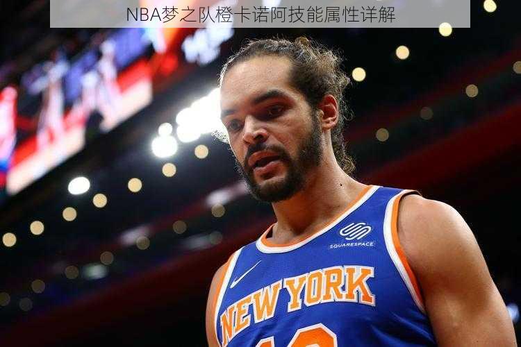 NBA梦之队橙卡诺阿技能属性详解