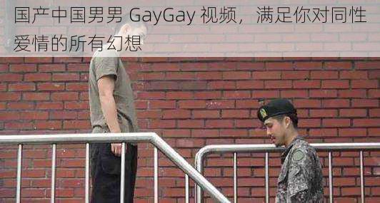 国产中国男男 GayGay 视频，满足你对同性爱情的所有幻想