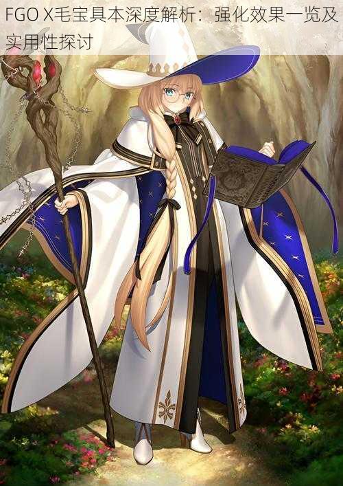 FGO X毛宝具本深度解析：强化效果一览及实用性探讨