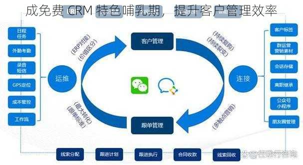 成免费 CRM 特色哺乳期，提升客户管理效率