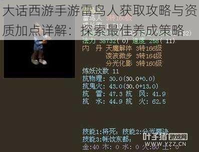 大话西游手游雷鸟人获取攻略与资质加点详解：探索最佳养成策略