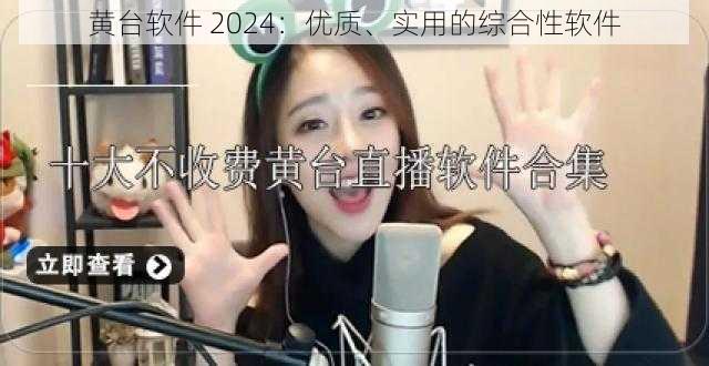 黄台软件 2024：优质、实用的综合性软件