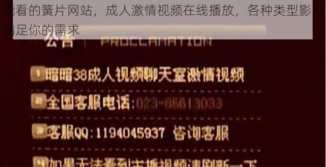 能看的簧片网站，成人激情视频在线播放，各种类型影片满足你的需求