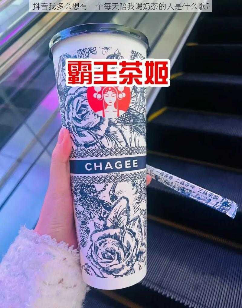 抖音我多么想有一个每天陪我喝奶茶的人是什么歌？