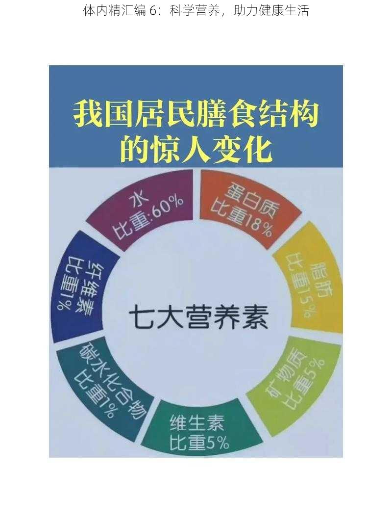 体内精汇编 6：科学营养，助力健康生活