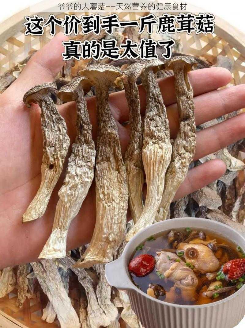 爷爷的大蘑菇——天然营养的健康食材