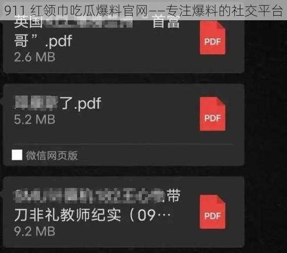 911 红领巾吃瓜爆料官网——专注爆料的社交平台