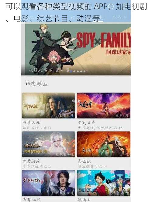 可以观看各种类型视频的 APP，如电视剧、电影、综艺节目、动漫等