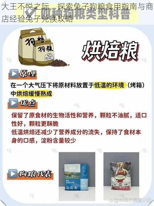 大王不悦之际，探索兔子狗粮食用指南与商店经验兔子兑换攻略