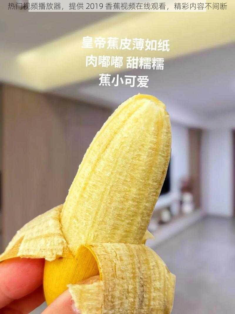 热门视频播放器，提供 2019 香蕉视频在线观看，精彩内容不间断