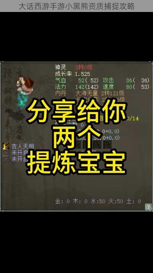 大话西游手游小黑熊资质捕捉攻略