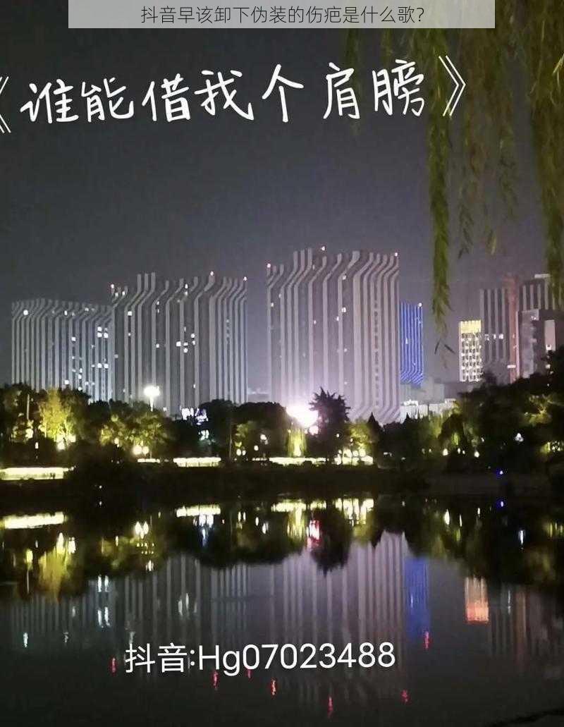 抖音早该卸下伪装的伤疤是什么歌？