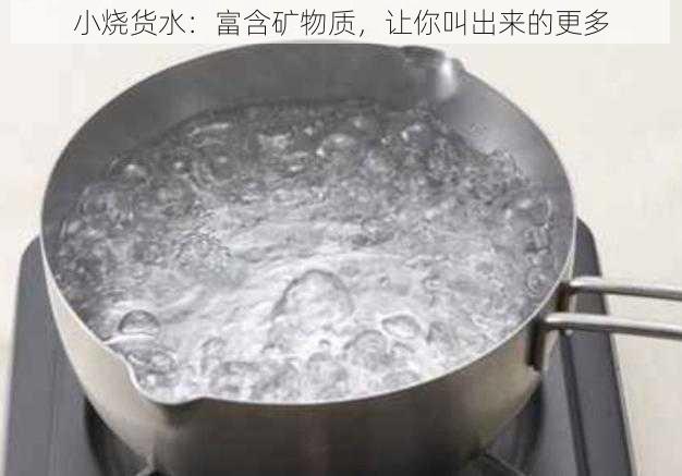 小烧货水：富含矿物质，让你叫出来的更多