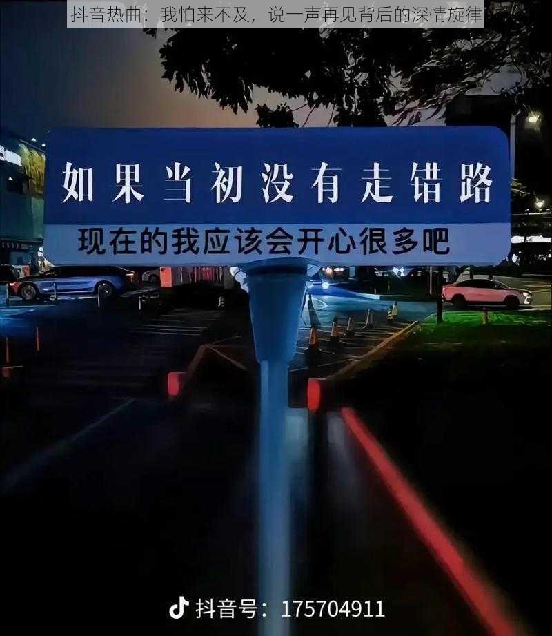 抖音热曲：我怕来不及，说一声再见背后的深情旋律