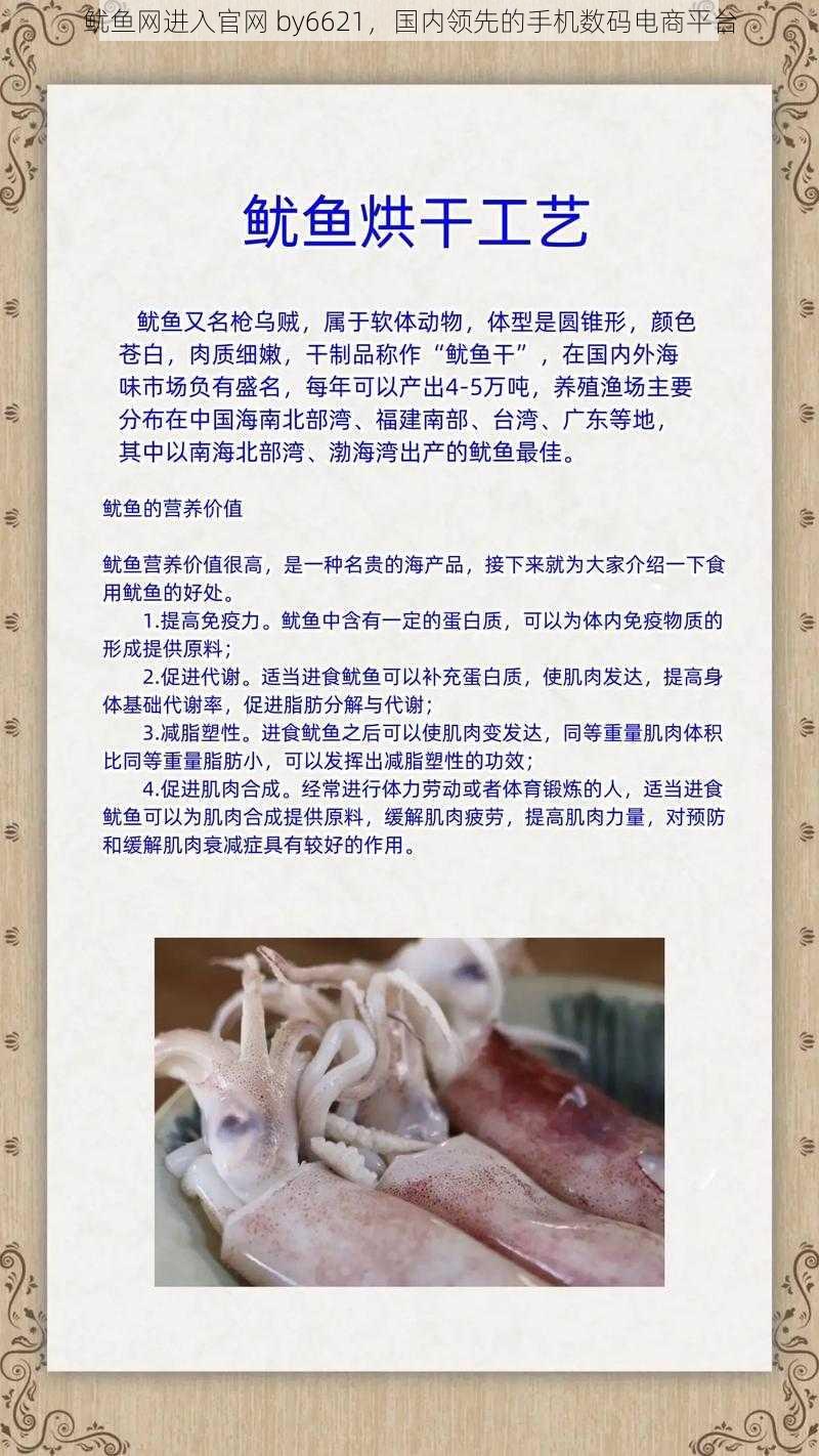 鱿鱼网进入官网 by6621，国内领先的手机数码电商平台