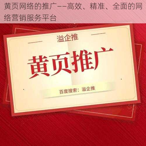 黄页网络的推广——高效、精准、全面的网络营销服务平台