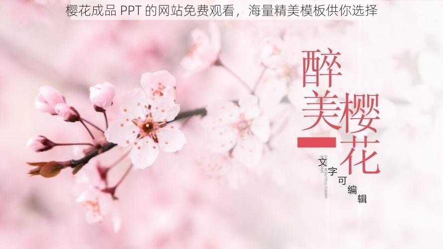 樱花成品 PPT 的网站免费观看，海量精美模板供你选择