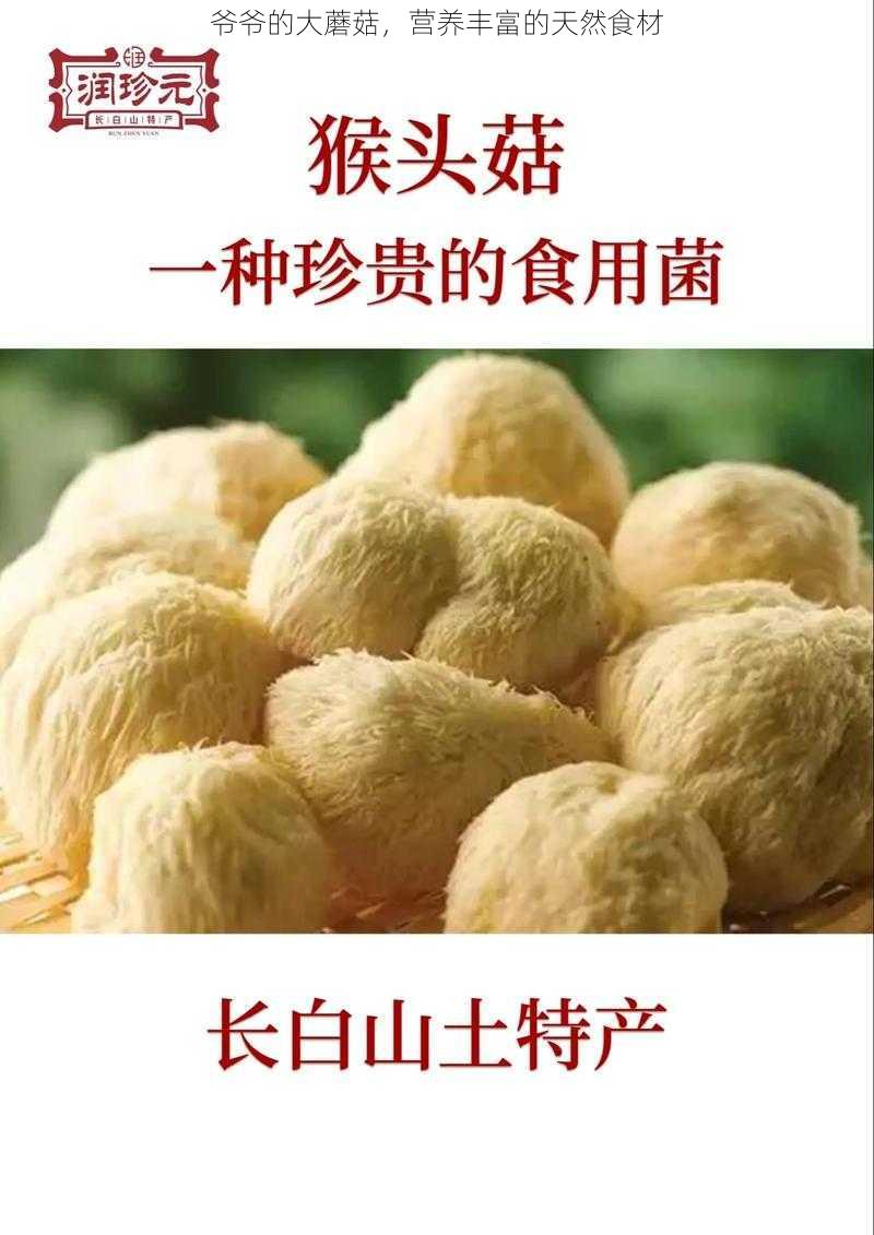 爷爷的大蘑菇，营养丰富的天然食材