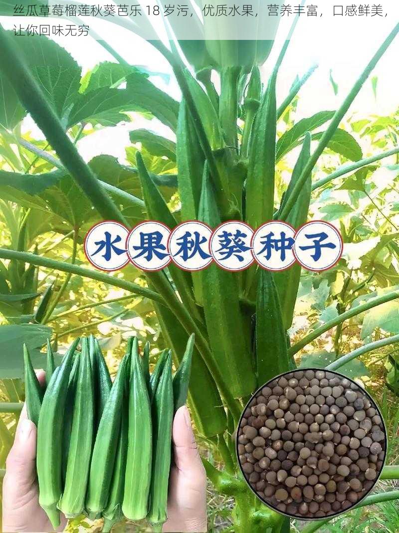 丝瓜草莓榴莲秋葵芭乐 18 岁污，优质水果，营养丰富，口感鲜美，让你回味无穷