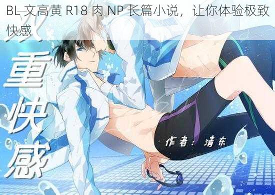 BL 文高黄 R18 肉 NP 长篇小说，让你体验极致快感