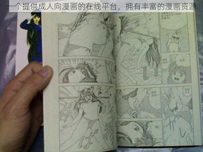 一个提供成人向漫画的在线平台，拥有丰富的漫画资源