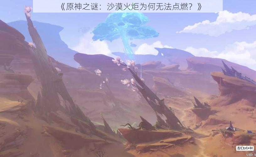 《原神之谜：沙漠火炬为何无法点燃？》